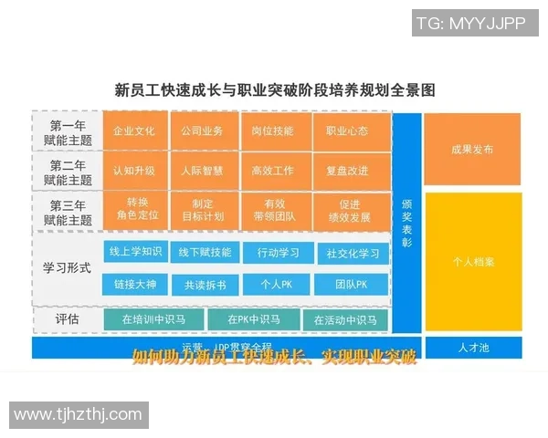 足球明星王秋明的成长历程与职业生涯全景解析